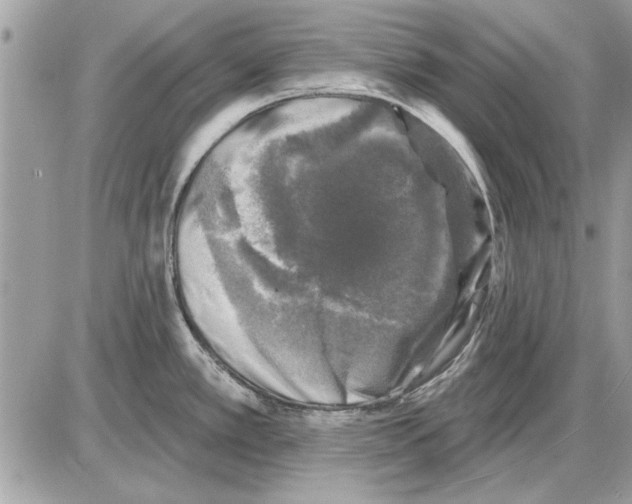 X0000085771389200704131752