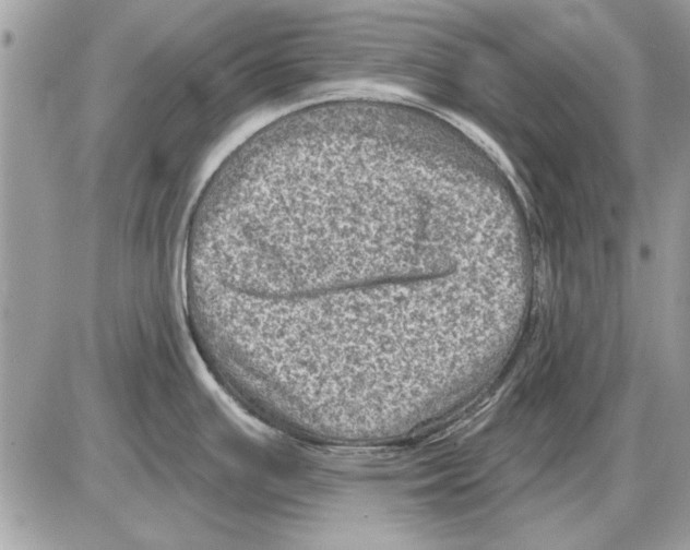 X0000085771391200704131752