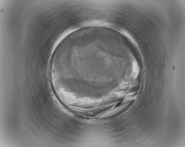 X0000085771392200704131752