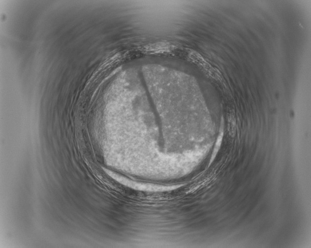 X0000085771393200704131751