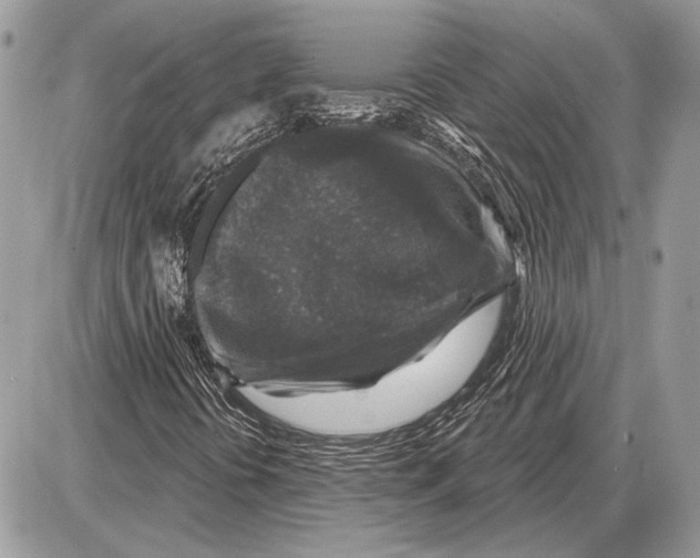 X0000085771394200704131751