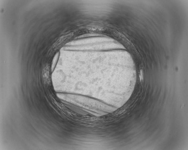 X0000085771396200704131751