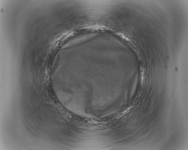 X0000085771398200704131751