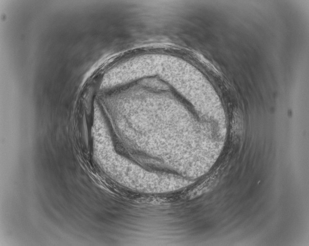 X0000085771400200704131751