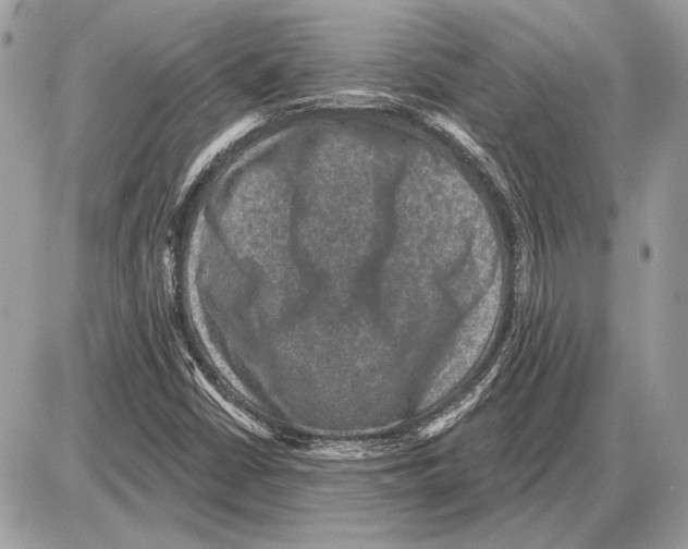 X0000085771402200704131751