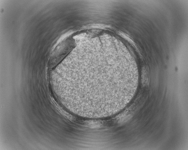 X0000085771404200704131751