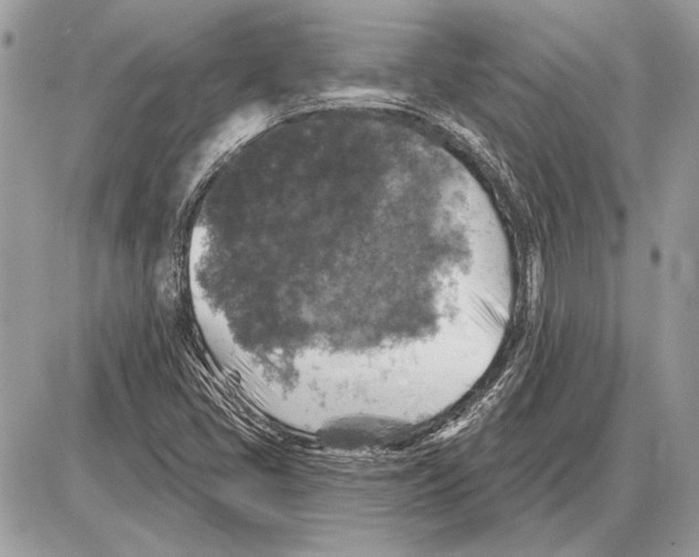 X0000085771405200704131751