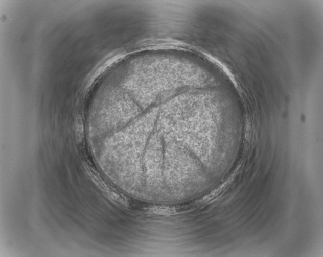 X0000085771407200704131751