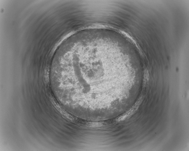 X0000085771409200704131752