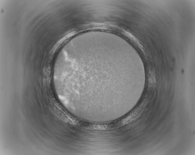 X0000085771411200704131752