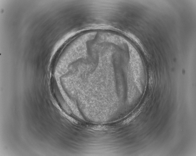 X0000085771414200704131752