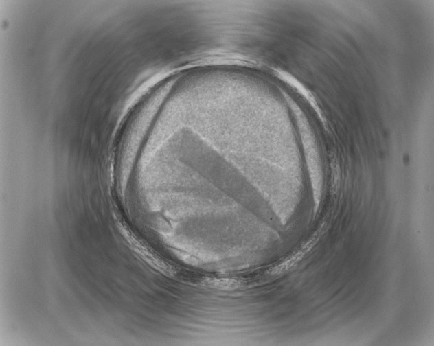 X0000085771415200704131752