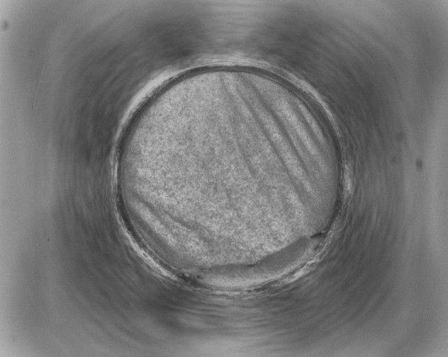 X0000085771416200704131752