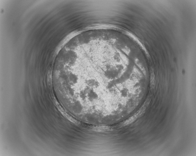 X0000085771417200704131752