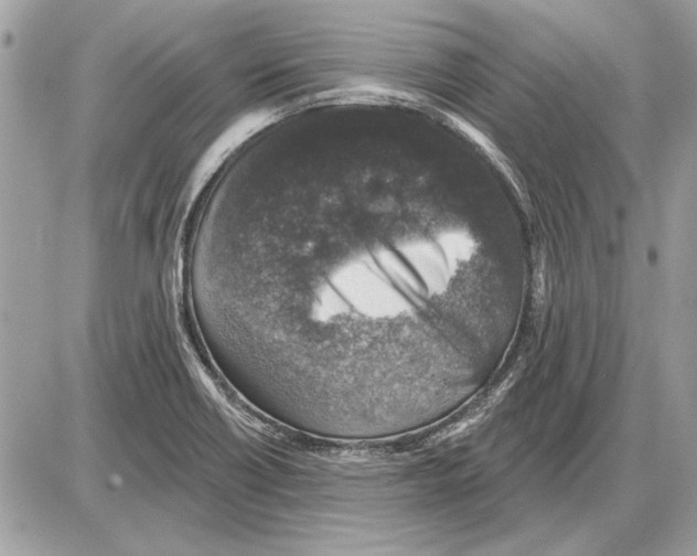 X0000085771418200704131752