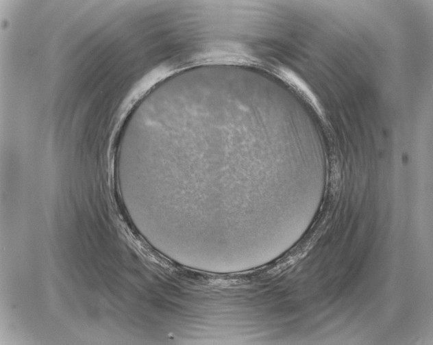 X0000085771419200704131752