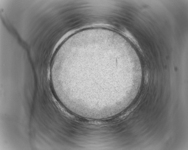 X0000085771420200704131752