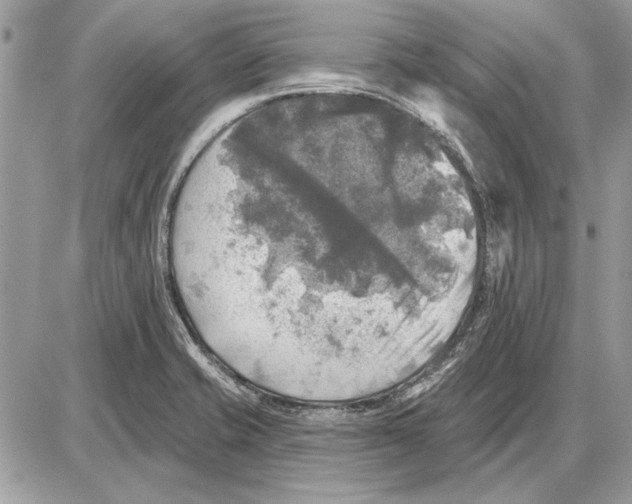 X0000085771421200704131752