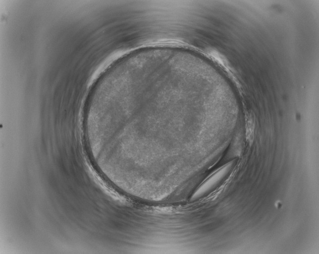 X0000085771422200704131752