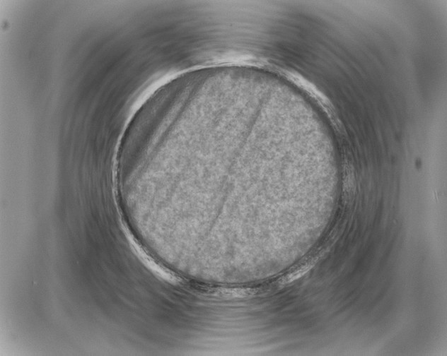 X0000085771423200704131752