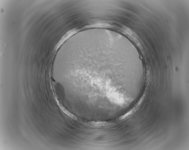 X0000085771425200704131752