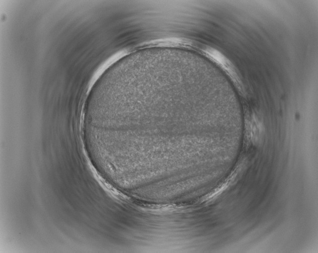 X0000085771426200704131752