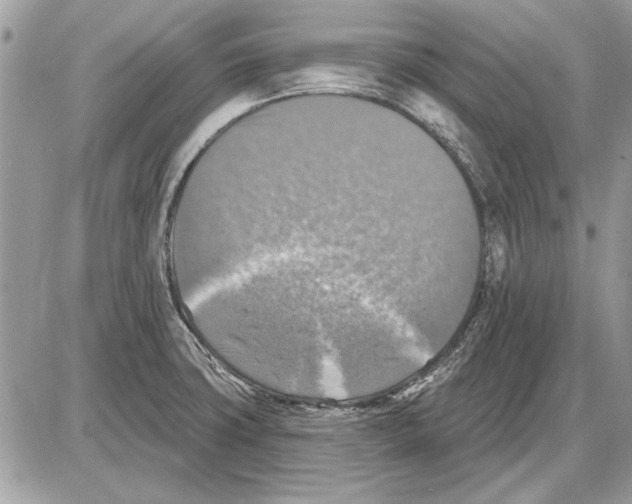 X0000085771427200704131752