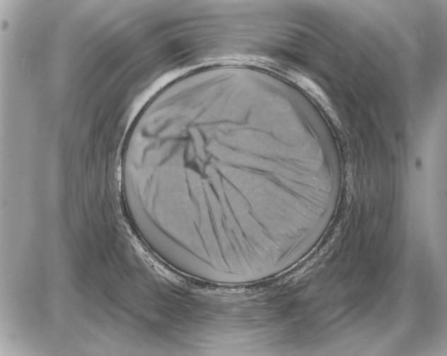 X0000085771428200704131752