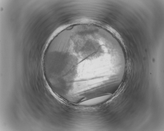 X0000085771429200704131752