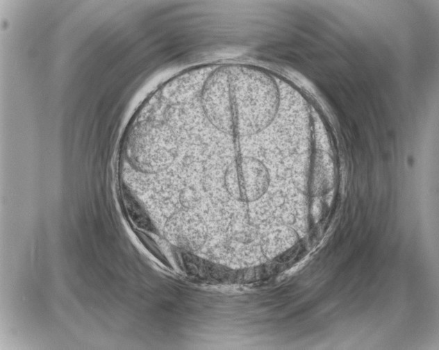 X0000085771432200704131752