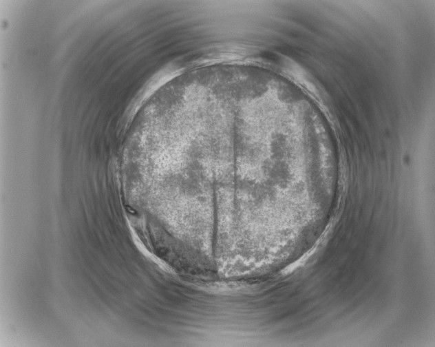 X0000085771433200704131752