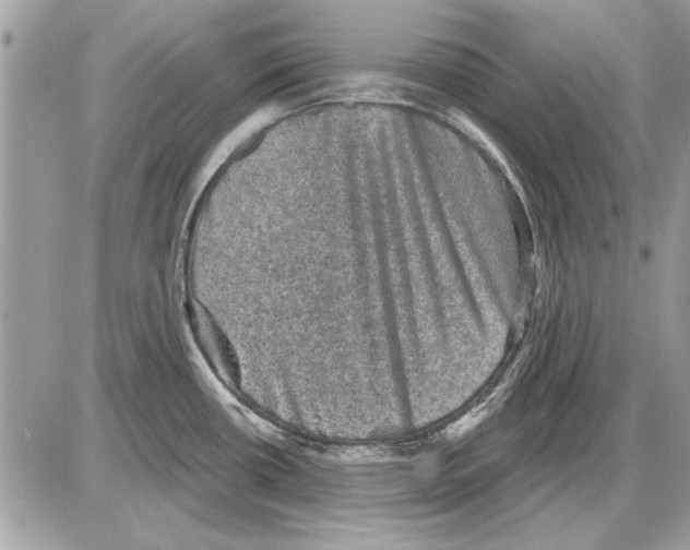 X0000085771434200704131752