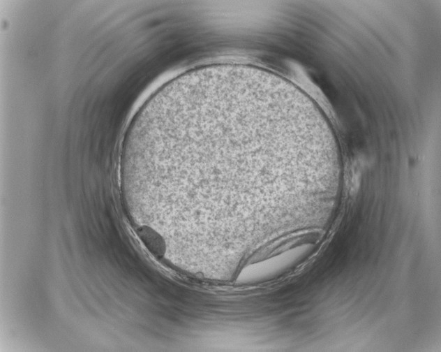 X0000085771436200704131752