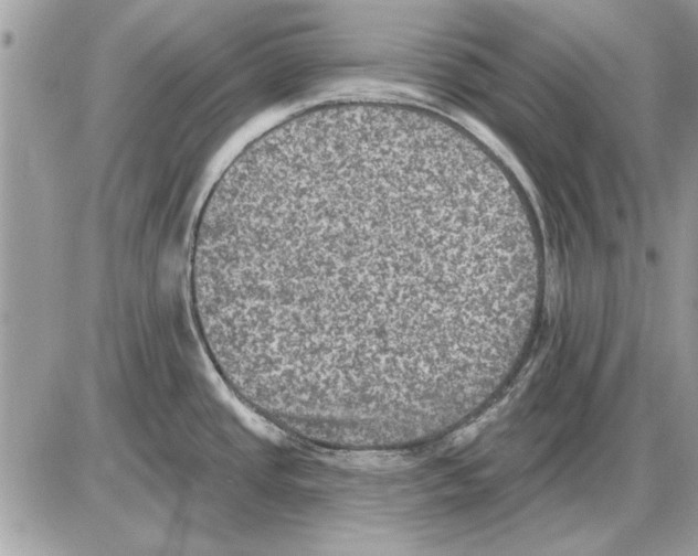 X0000085771437200704131752