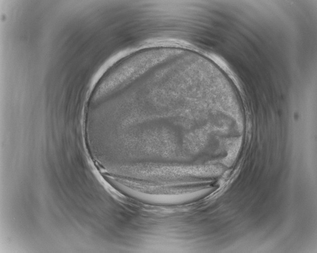 X0000085771438200704131752