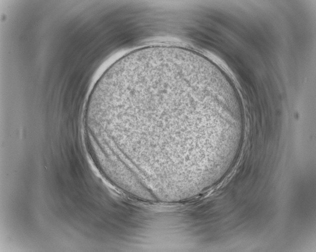 X0000085771440200704131752