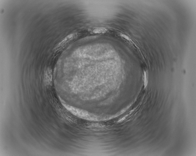 X0000085771443200704131751