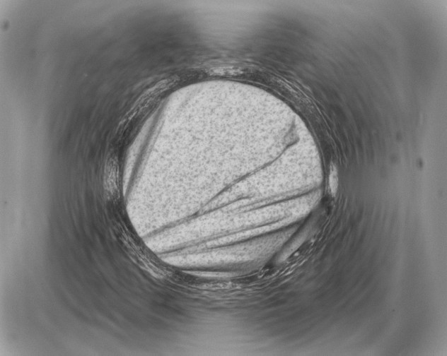 X0000085771444200704131751