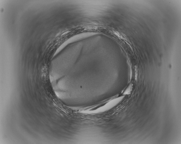 X0000085771445200704131751