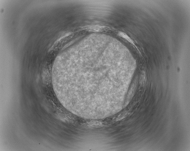 X0000085771446200704131751