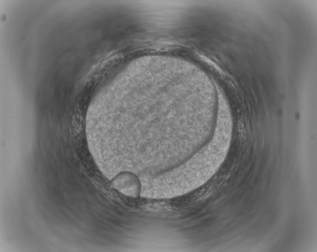 X0000085771447200704131751