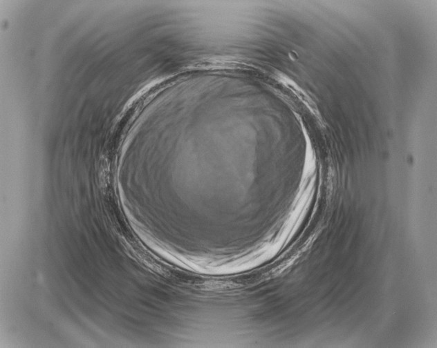 X0000085771449200704131751