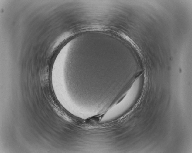 X0000085771450200704131751