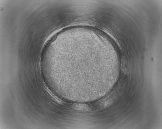 X0000085771452200704131751