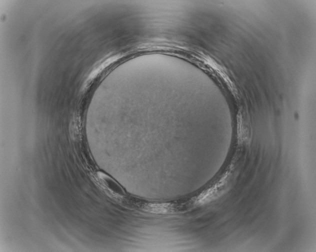 X0000085771453200704131751