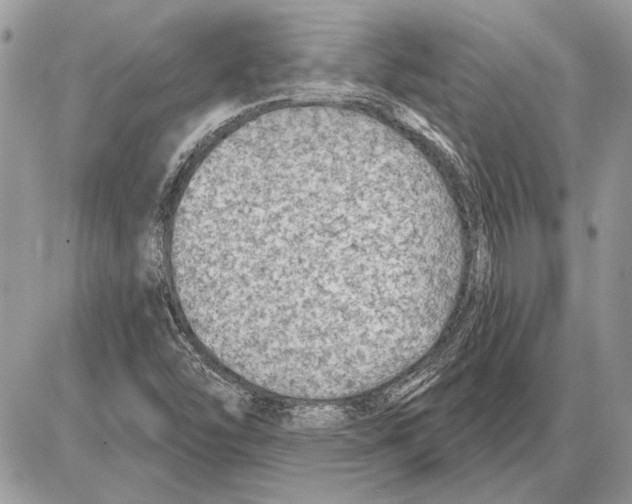 X0000085771454200704131751