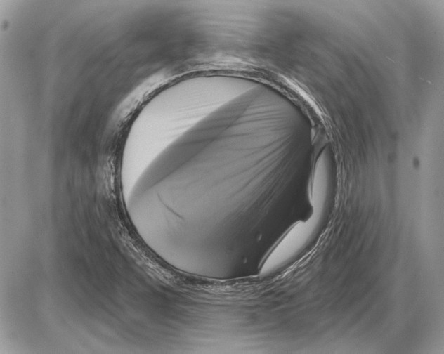 X0000085771455200704131751