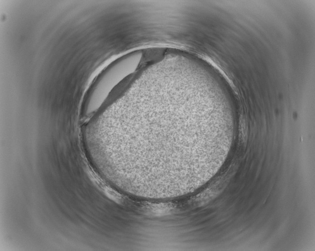 X0000085771460200704131751