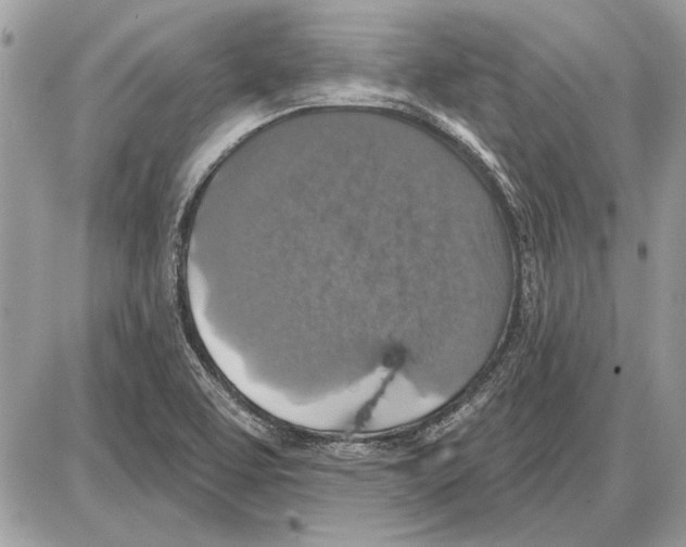 X0000085771463200704131751