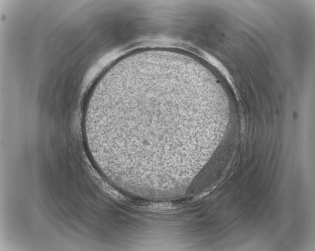 X0000085771464200704131751